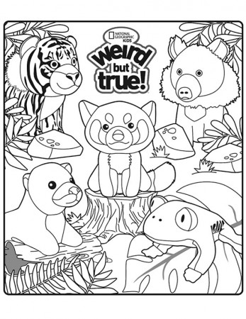 McDonalds Happy Meal Coloring Page and Activities Sheet – National ...
