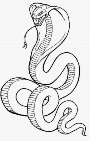 King Cobra Snake Coloring Pages - High Quality Coloring Pages