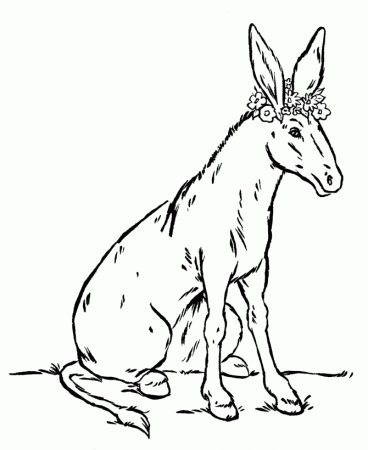 Farm Animal Coloring Pages | Donkey with Flowers Coloring Page and 