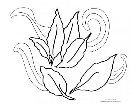 Vector Coloring Page Of A Black And White Tree Leaf Coloring Page 