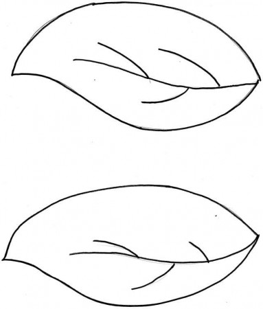 The Leaf Template