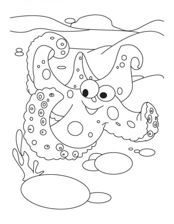 Folding starfish coloring pages, Kids Coloring pages, Free 