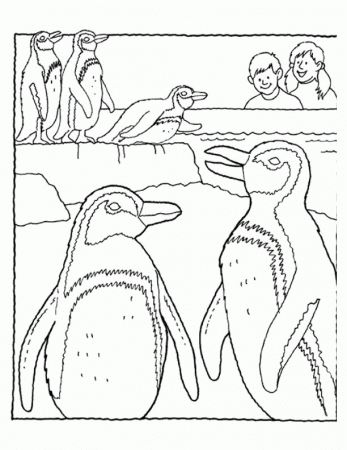 Penguin On Egg Coloring Page - Penguin Coloring Pages : Coloring 