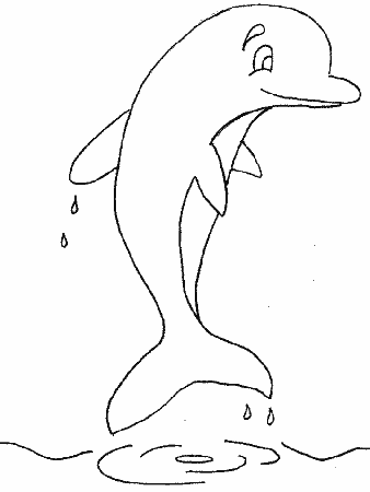 Dolphin color pages