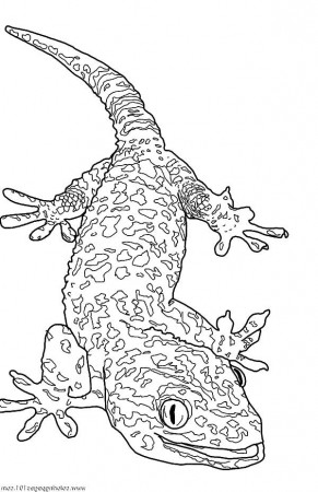 Giant Gecko Lizard Coloring Pages - Download & Print Online Coloring Pages  for Free | Color Nimbus | Cute coloring pages, Coloring pages, Stitch coloring  pages