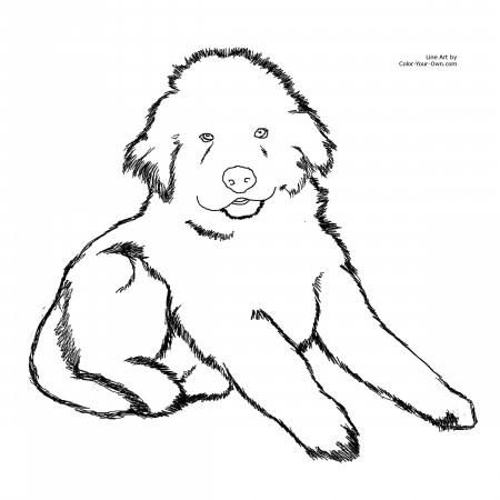 Puppy Coloring Pages Related Keywords & Suggestions - Puppy ...