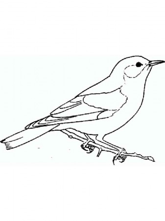 Ohio state bird coloring pages