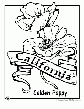 State Flower Coloring Pages | Woo! Jr. Kids Activities : Children's  Publishing