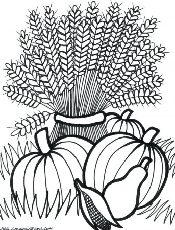 The best free Wheat coloring page images. Download from 33 free ...