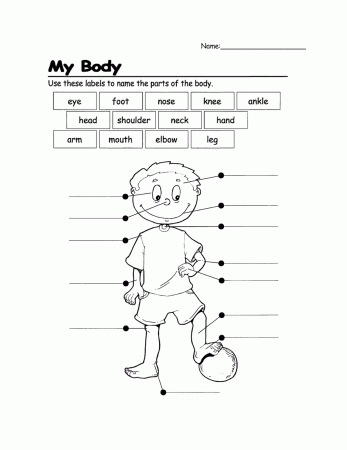 Body-Parts-Coloring-Pages-2.png