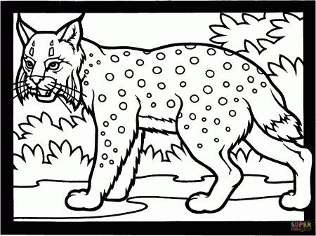 Lynx hunting coloring page | Free Printable Coloring Pages