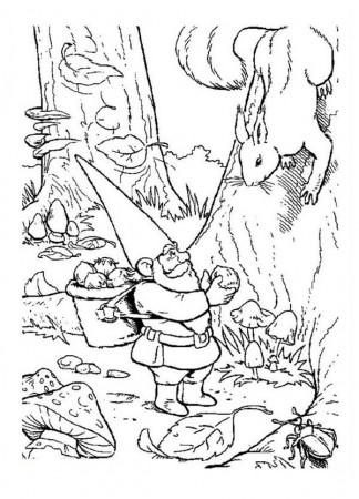 David the Gnome Give Peanut to a Squirrel Coloring Pages : Batch ...