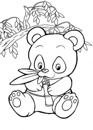 Baby Panda Coloring Pages - CartoonRocks.com