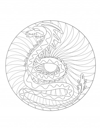 Free mandala dragon - 2 - Difficult Mandalas (for adults)