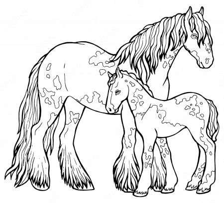 Premium Vector | Horse runs trot. coloring book. the horse runs trot. coloring  book. tinker is a thoroughbred horse.
