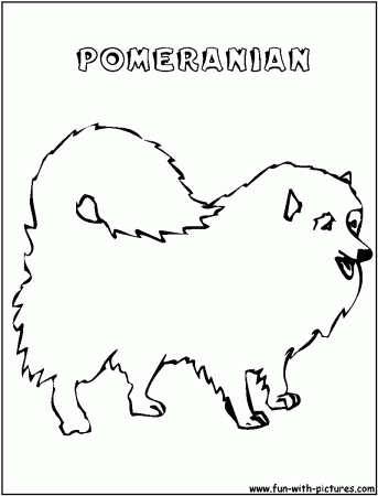 8 Pics of Pomeranian Dog Coloring Pages - Pomeranian Puppy ...