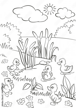 Coloring pages. Five little cute ducklings swim on the lake and stand on  the grass. There are bushes, flowers and reeds around. Summer. Stock Vector  | Adobe Stock