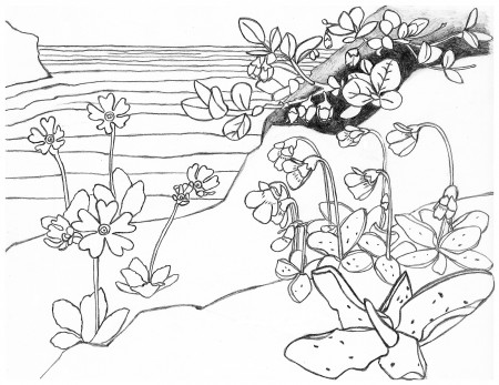 Coloring Pages - Grand Portage National ...