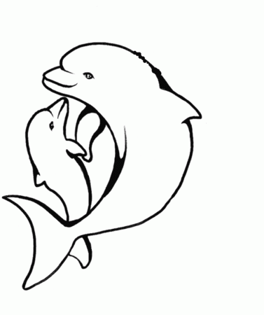 amazing dolphin coloring pages for kids | Best Coloring Pages