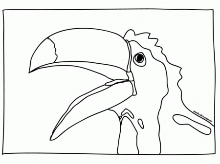 Download Toucan Bird Coloring Page For Kids Or Print Toucan Bird 