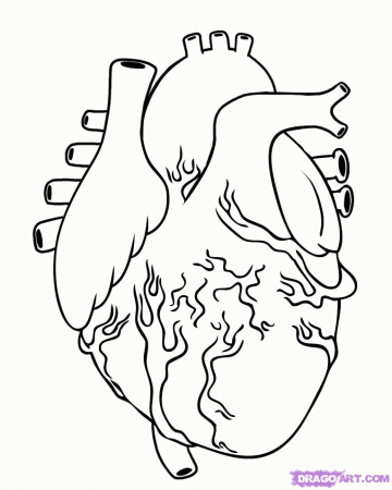 Human Heart Coloring Page