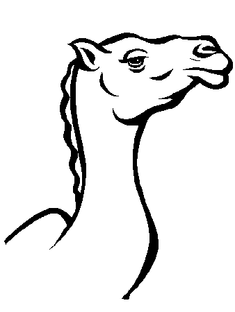 camel rider Colouring Pages