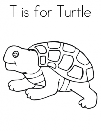 Turtle Coloring Pages To Print | Animal Coloring pages | Printable 