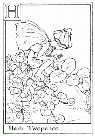 Print Letter H For Herb Twopence Flower Fairy Coloring Page Or 