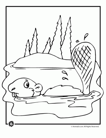 Rainforest Animal Coloring Sheets | Free coloring pages