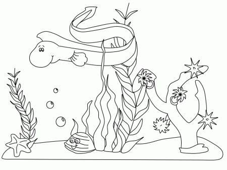 Ocean Scene Animals Coloring Pages & Coloring Book
