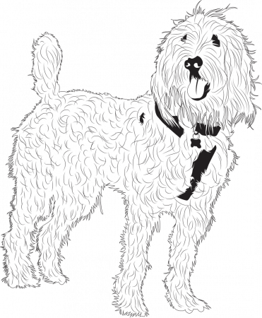 Doodle Golden Dog - Free vector graphic on Pixabay