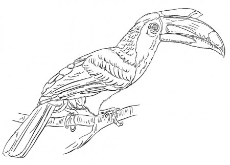Bird Archives - Best Coloring Pages For Kids