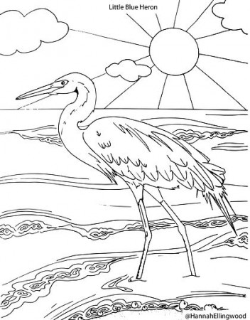 Coloring Pages | Hannah Ellingwood