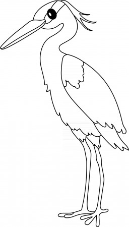 Heron bird Kids Coloring Page Great for Beginner Coloring Book 2514254  Vector Art at Vecteezy