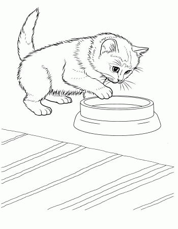 Cute Puppy And Kitten Drawings Coloring Pages - Gianfreda.net