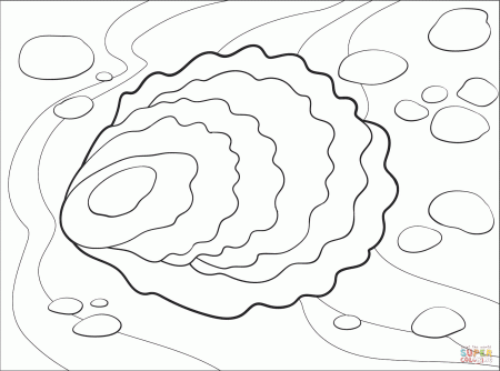 Oyster coloring page | Free Printable Coloring Pages