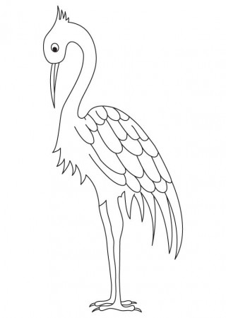 Long legged crane coloring page | Download Free Long legged crane ...