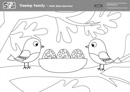 Treetop Family Coloring Pages - Hello Baby Sparrows - Super Simple