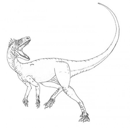Albertosaurus Dinosaur Coloring Page | Dinosaur coloring pages, Dinosaur  coloring, Dinosaur coloring sheets