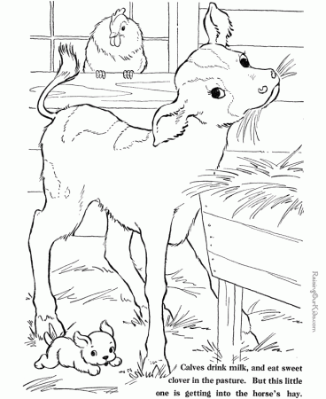 Free Printable Coloring Pages Baby Farm Animals - Aquadiso.com