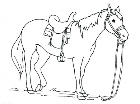 Horse Coloring Pages To Print Printable Free Draft Pictures ...