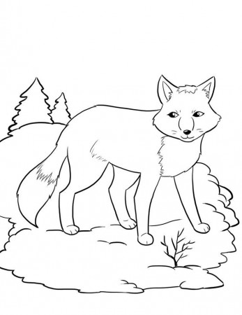 Arctic Water Coloring Page - Coloring Pages For All Ages