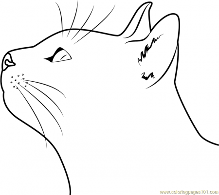 Italy Cat Coloring Page for Kids - Free Cat Printable Coloring Pages Online  for Kids - ColoringPages101.com | Coloring Pages for Kids