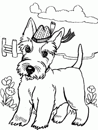 Pin on Coloring pages