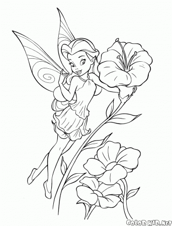 Coloring page - Garden fairy Rosetta