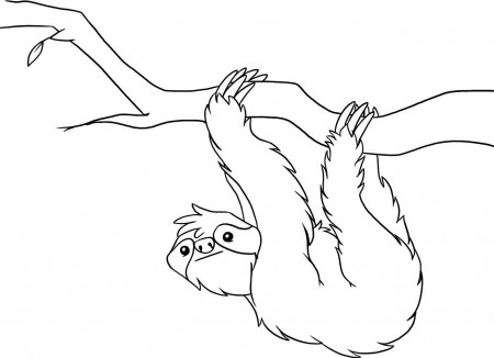 Printable Sloth coloring pages - Kids Coloring PagesKids Coloring ...