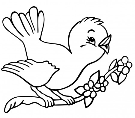 Coloring Pages : Bird Coloring To Print Blue Birds For Book ...