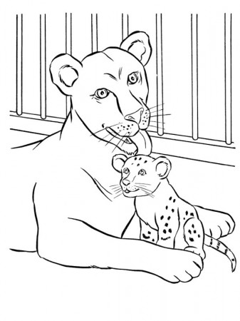 Mother lion and cub Coloring Page - Funny Coloring Pages