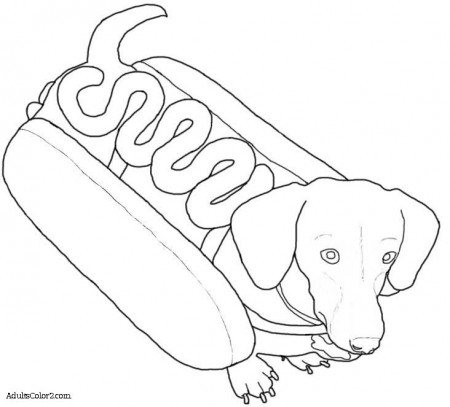 weenie dog coloring page - Clip Art Library