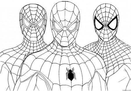 Full Page Spiderman Coloring Page » Turkau